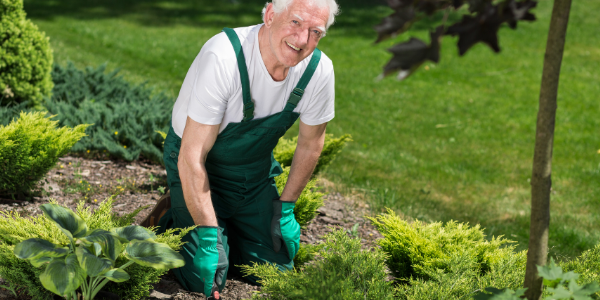 Photo of man in his garden bed
