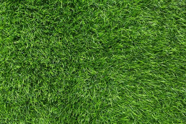 Lawn Aeration and Overseeding | Green Group