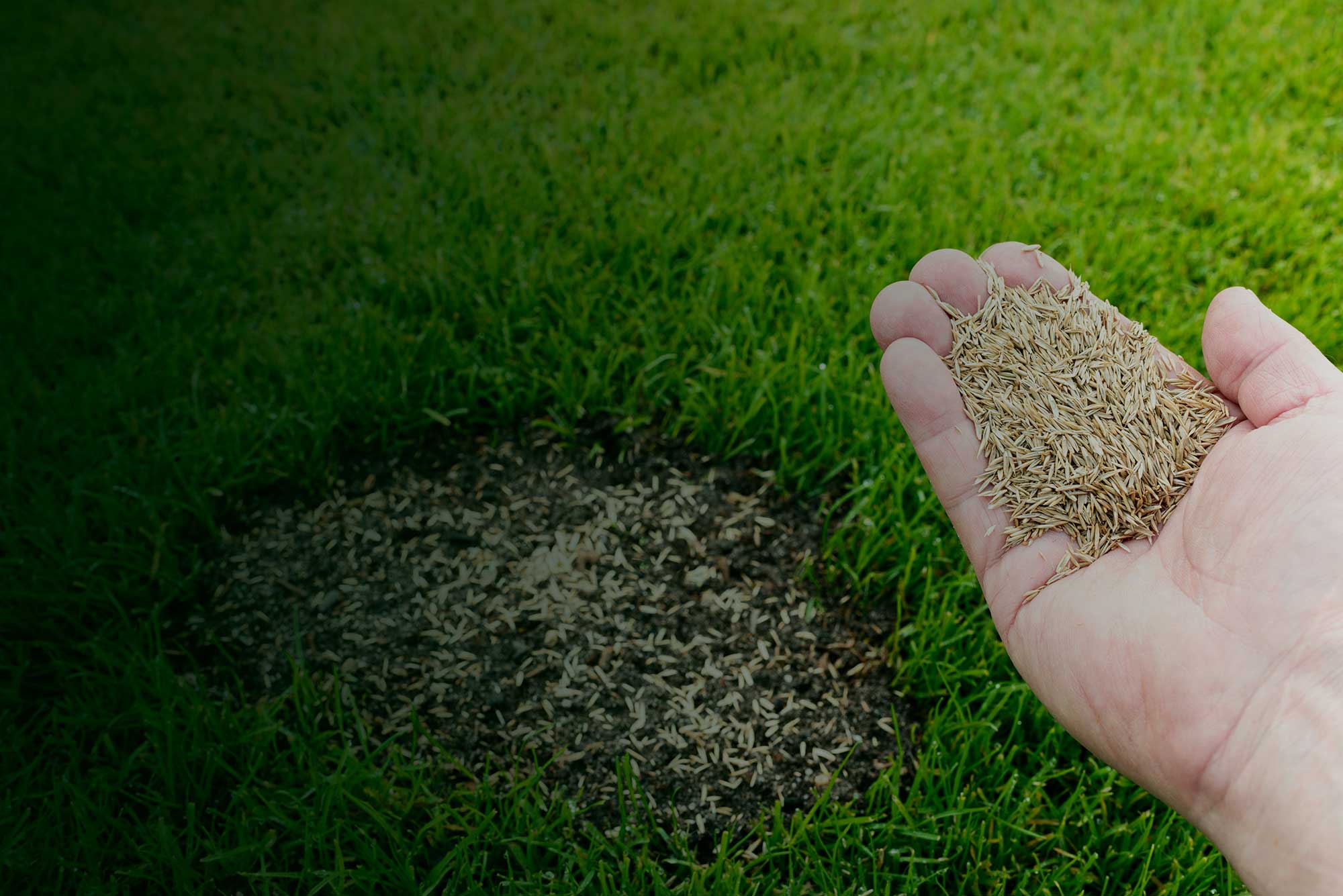 Doing-Things-Differently