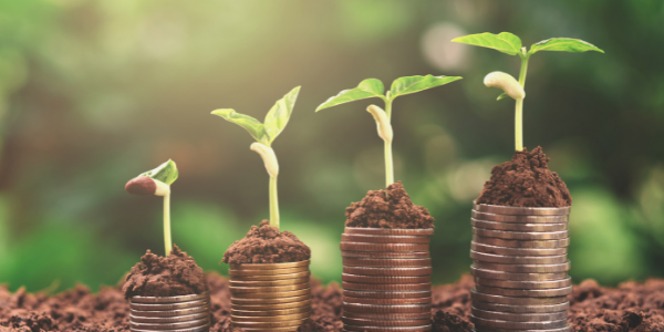 image of money growing