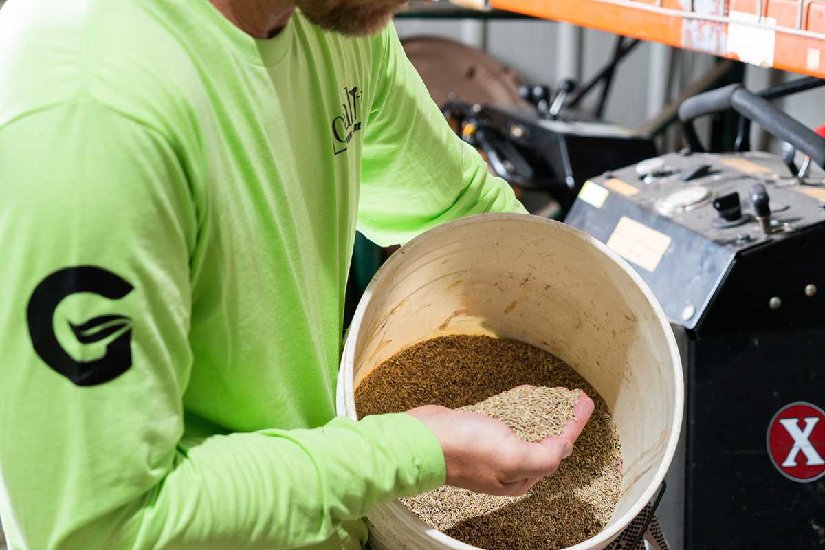 Green group employee holding seeds in their hand