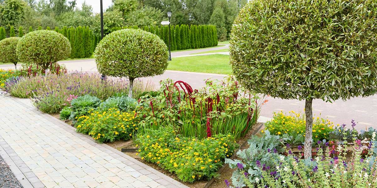 The-Foundations-of-Effective-Commercial-Landscape-Design Landscaped flowers and shrubs outside of a business building