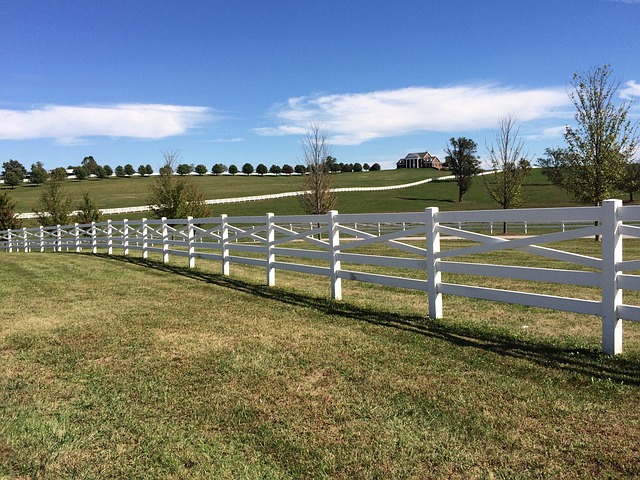 A field of Kentucky Bluegrass and a white picket fence.