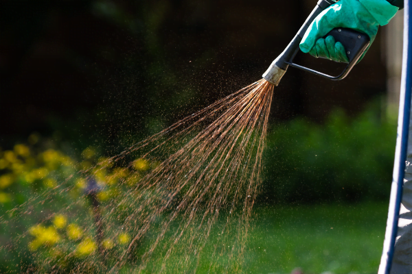 Liquid Aeration Blog (1) Green group employee spraying liquid aerator on grass