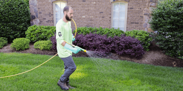 Liquid Aeration Green group employee spraying liquid aerator onto lawn.